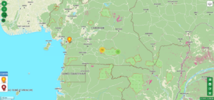 Lire la suite à propos de l’article Un portail web pour le suivi de la déforestation et la dégradation des forêts