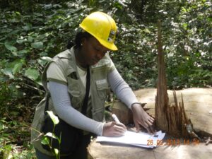 Lire la suite à propos de l’article Les contentieux en matière de forêts et de la faune au 2ème trimestre 2015.