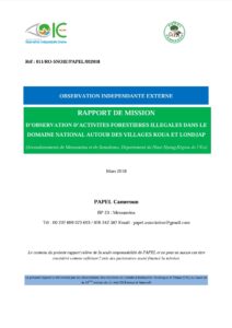 Lire la suite à propos de l’article Exploitation forestière non autorisée dans une forêt du domaine national par la Société des Bois Africains Cameroun (SBAC)