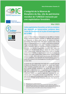 Lire la suite à propos de l’article Note d’information I Numéro 13: L’intégrité de la Réserve deBiosphère du Dja, site du patrimoine mondial de l’UNESCO menacée parune exploitation forestière, Juin 2023