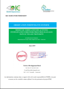 Lire la suite à propos de l’article Mission de vérification des activités d’exploitation forestière présumées illégales dans le village NKONGKENI, Juin 2019