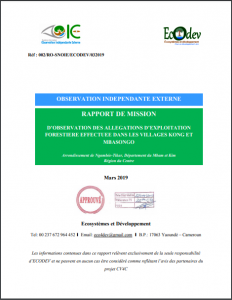 Lire la suite à propos de l’article Rapport de mission d’observation des allégations d’exploitation forestière effectuée dans les villages Kong et MBASONGO, Mars 2019