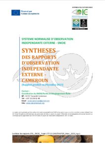 Lire la suite à propos de l’article SYNTHESES DES RAPPORTS D’OBSERVATION INDEPENDANTE EXTERNE -CAMEROUN [Rapport produit en Décembre 2023]