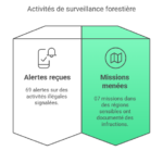 Renforcer la transparence dans la gestion forestière au Cameroun : bilan des missions d’observation indépendante externe (OIE) en 2024