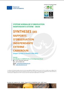 Lire la suite à propos de l’article SYNTHESES DES RAPPORTS D’OBSERVATION INDEPENDANTE EXTERNE -CAMEROUN [Rapport produit en Février et Mai 2025]