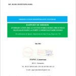 RAPPORT DE MISSION D’OBSERVATION DES ACTIVITES FORESTIERES PRESUMEES ILLEGALES DANS LA FORÊT COMMUNAUTAIRE DJOKO Arrondissement de Ngoyla, Département du Haut-Nyong, Région de l’Est