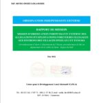 MISSION D’OBSERVATION INDEPENDANTE EXTERNE DES ALLEGATIONS D’EXPLOITATIONS FORESTIERES ILLEGALESAUX ENVIRONS DES VILLAGES EFOULAN 2 ET EVOUMA(Arrondissement d’Akom 2, département de l’Océan, arrondissement de Ma’an département de la Vallée du Ntem – Région du Sud)