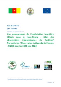 Lire la suite à propos de l’article Vue panoramique de l’exploitation forestière illégale dans le Haut-Nyong : Bilan des observations indépendantes du Système[1] Normalisé de l’Observation Indépendante Externe – SNOIE (Janvier 2022-juin 2024)