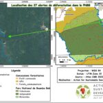 Protéger la forêt commence par la surveiller !