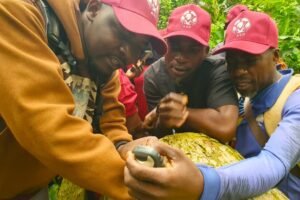 Lire la suite à propos de l’article Observation Indépendante Externe : les communautés au cœur de la protection des forêts